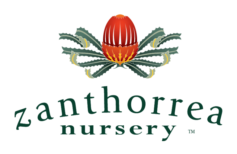 Zanthorrea Nursery Perth Garden Centre Perth Native Plants Perth WA