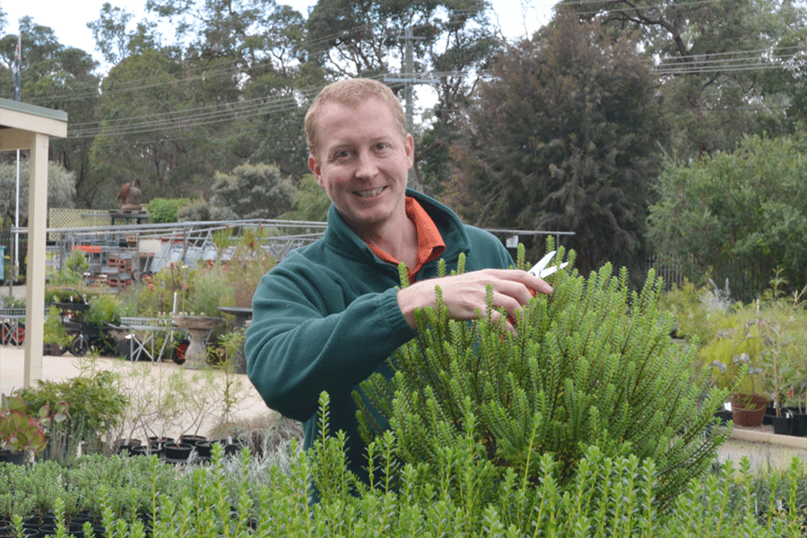 perth native nursery