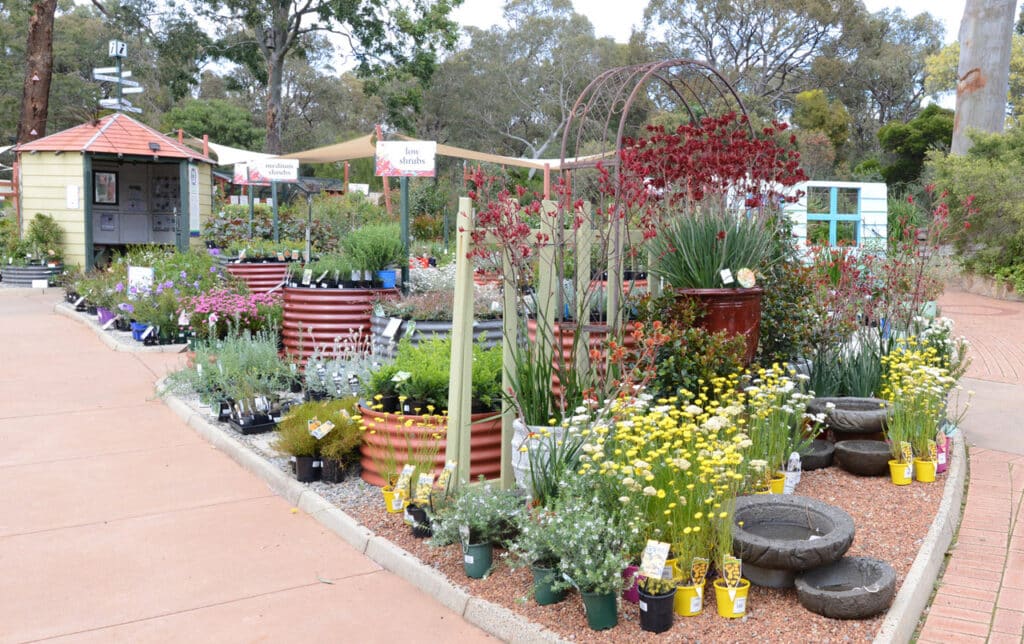 Garden Centre display
