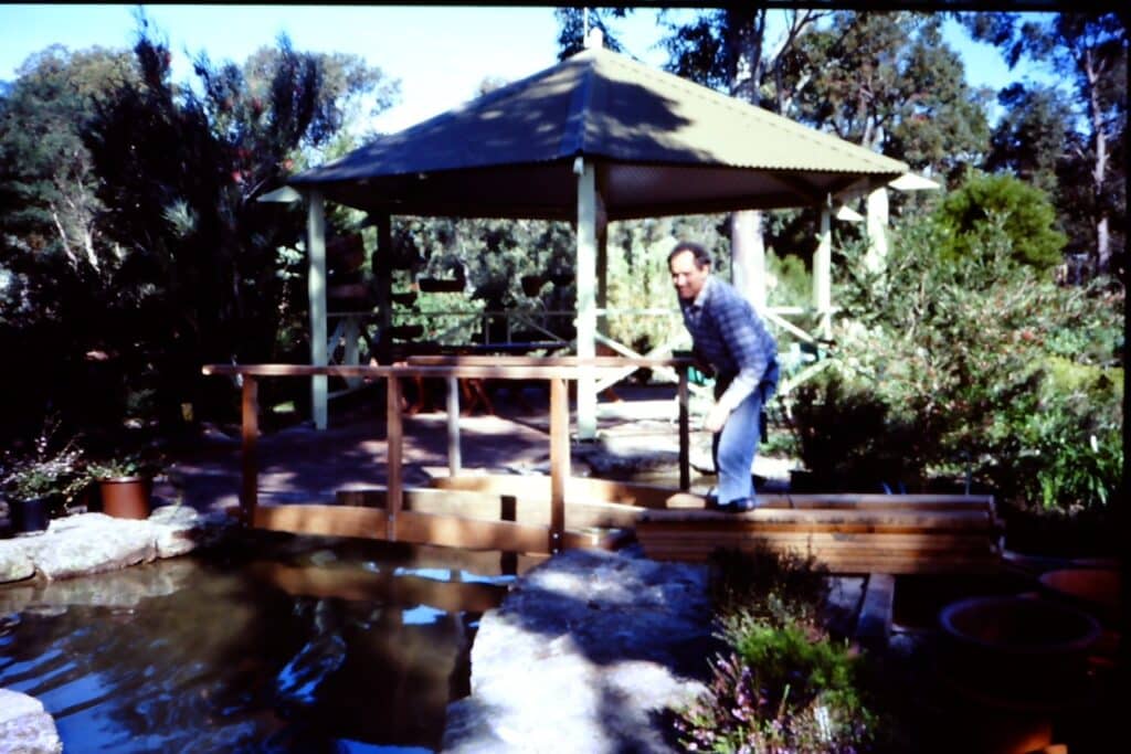 Alec Building pond bridge