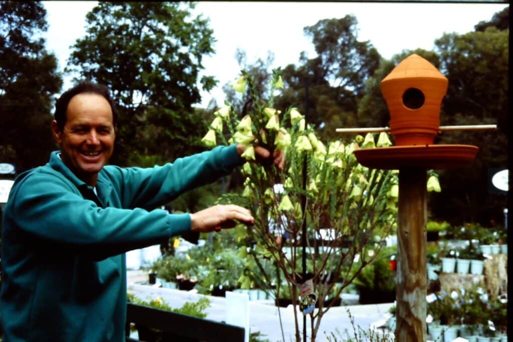 Alec with an early Pimelea