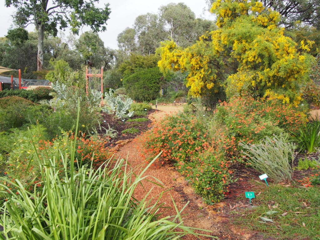 display garden2