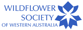 wildflower logo