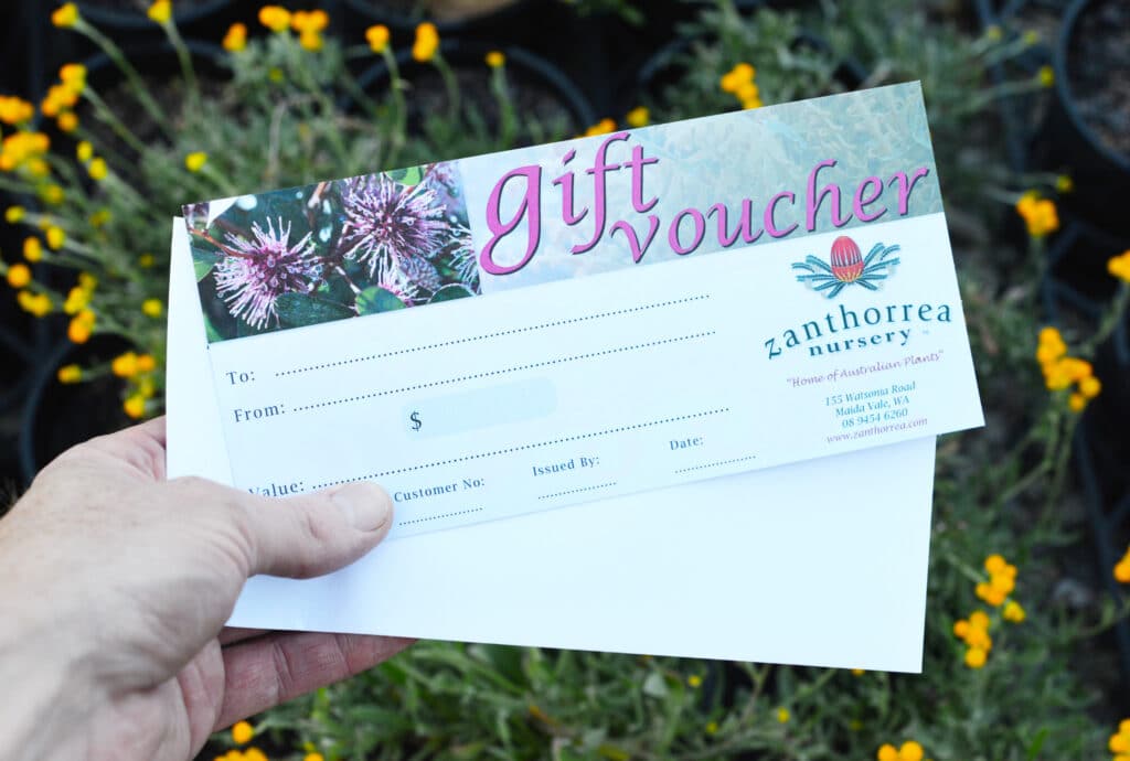 Gift Vouchers