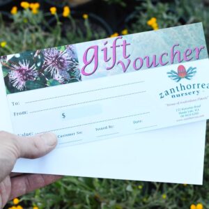 Gift Vouchers