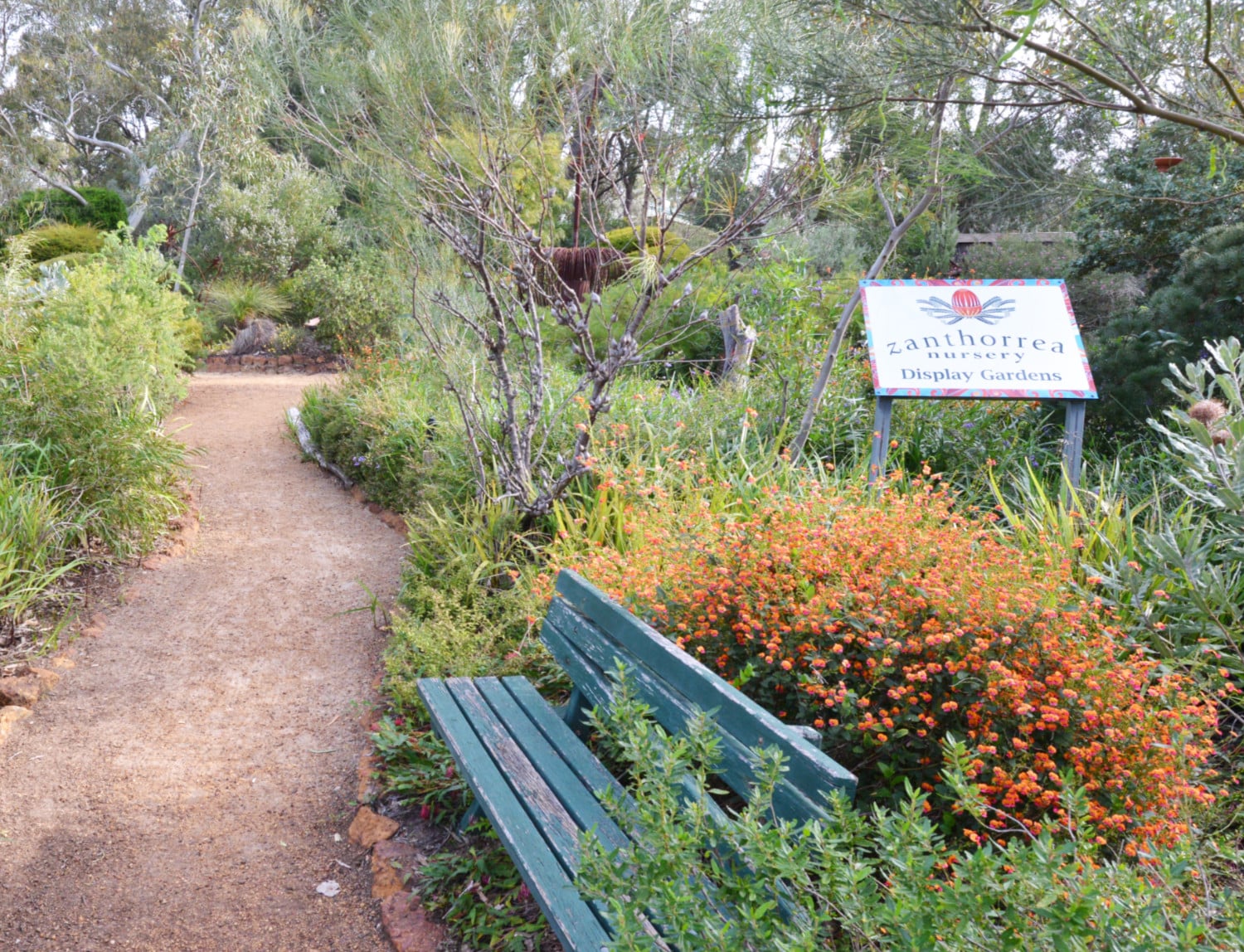 Zanthorrea Nursery Perth Garden Centre Perth Native Plants Perth WA