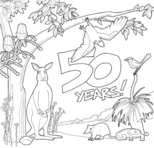 Colouring In